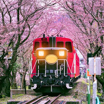 Where to travel in spring