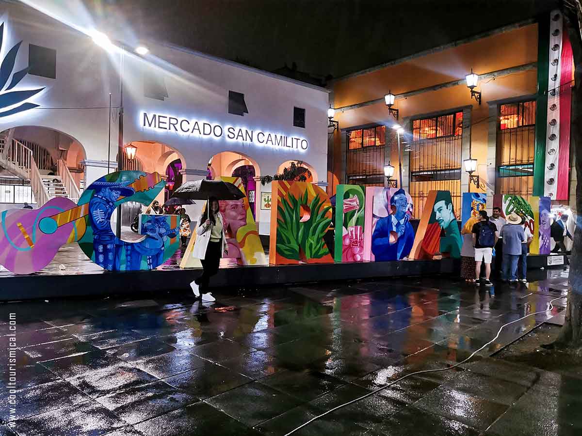 Mercado San Camilito - Things to do in Plaza Garibaldi.jpg